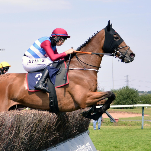 Southwell Racecourse - Monday 20th June 