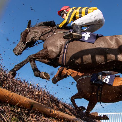 Ffos Las Racecourse - Thursday 16th June