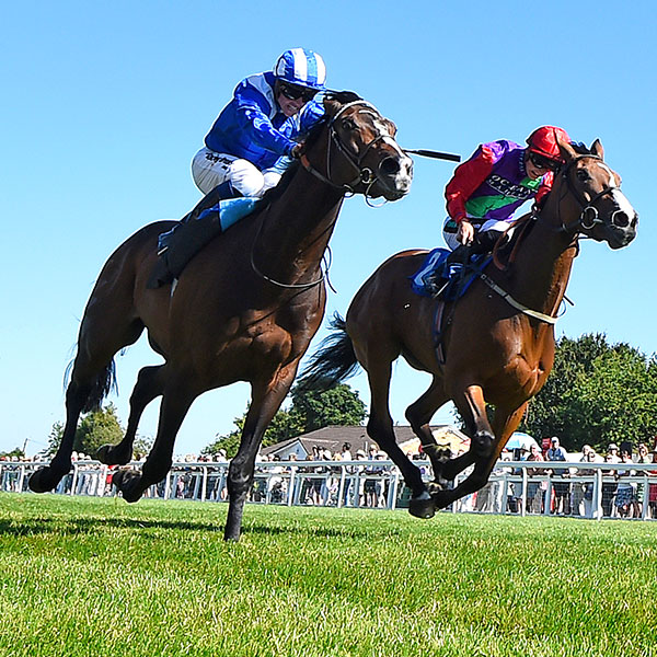 Salisbury Racecourse - Wednesday 22nd June
