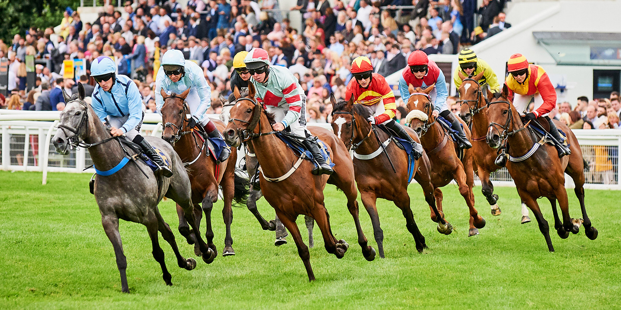 July Race Evening - Perth Racecourse