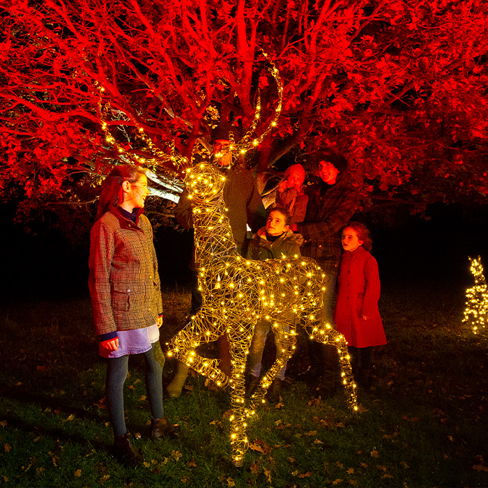 Light Up Wiston Estate