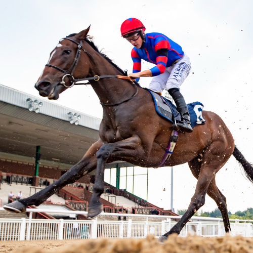Wolverhampton Racecourse - Monday 20th June