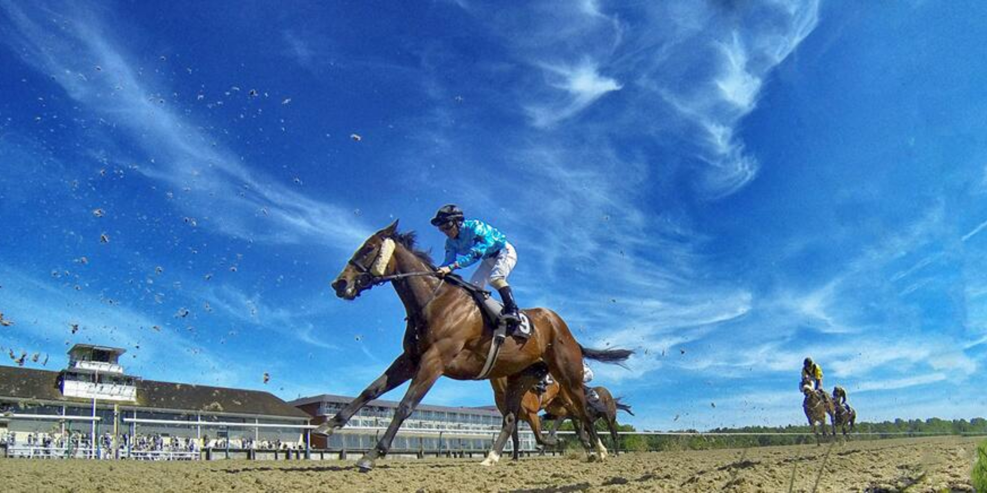 Summer Afternoon Racing - Lingfield Park Racecourse