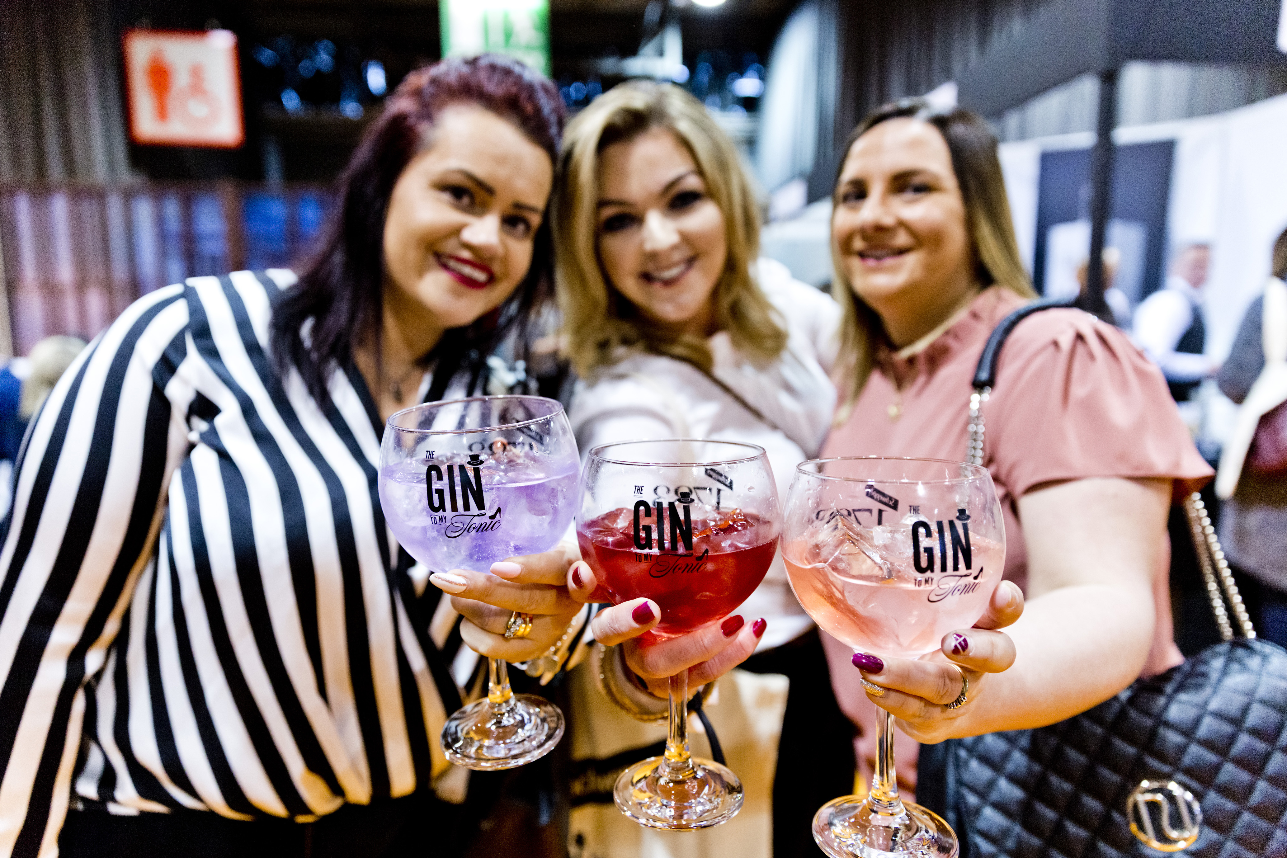The Gin To My Tonic Festival - Hull