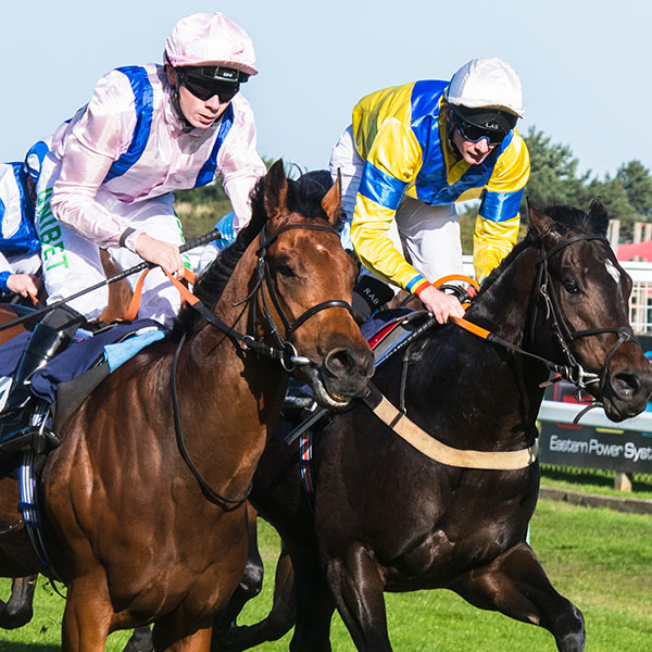Great Yarmouth Racecourse - Thursday 30th June