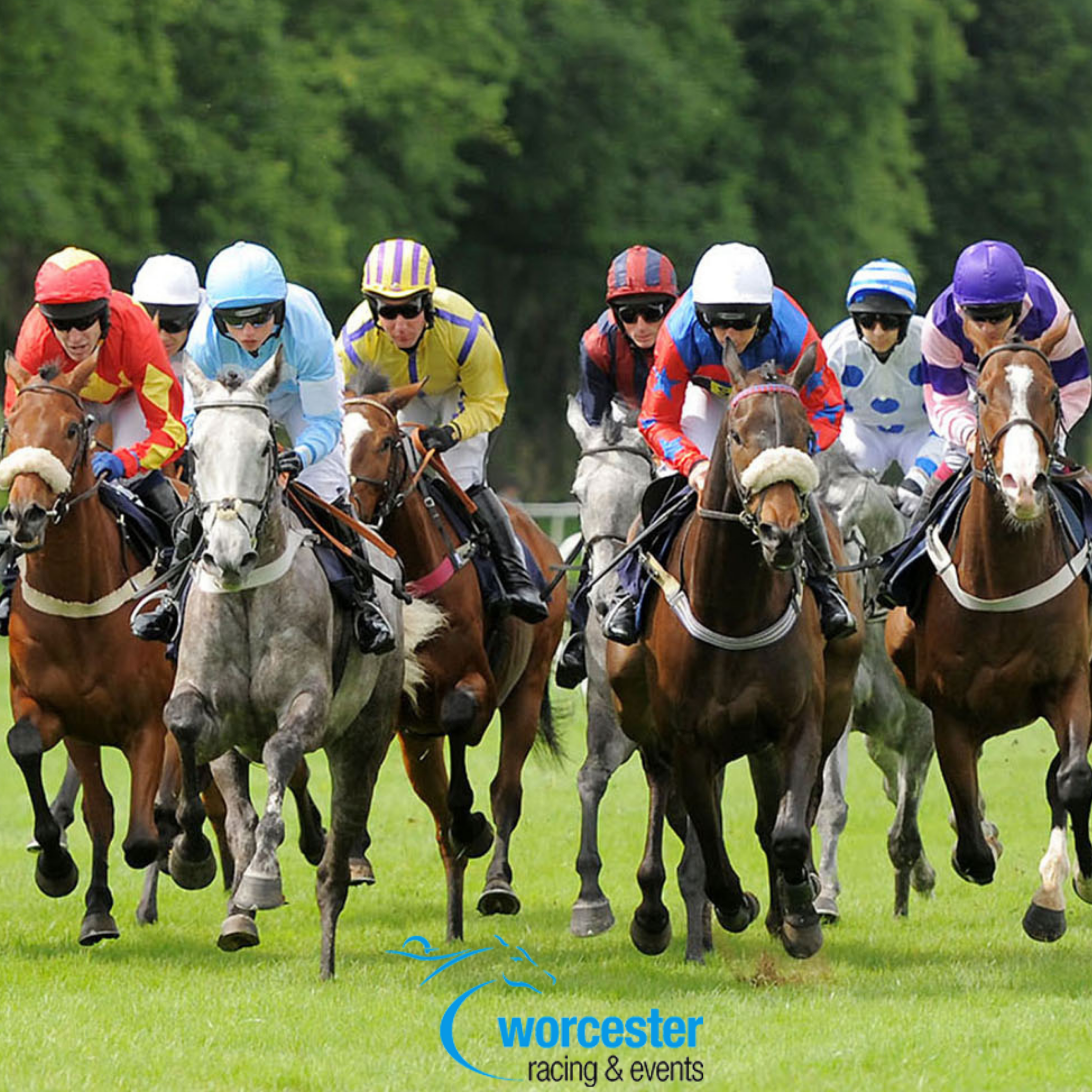 Worcester Racecourse - Wednesday 29th June 