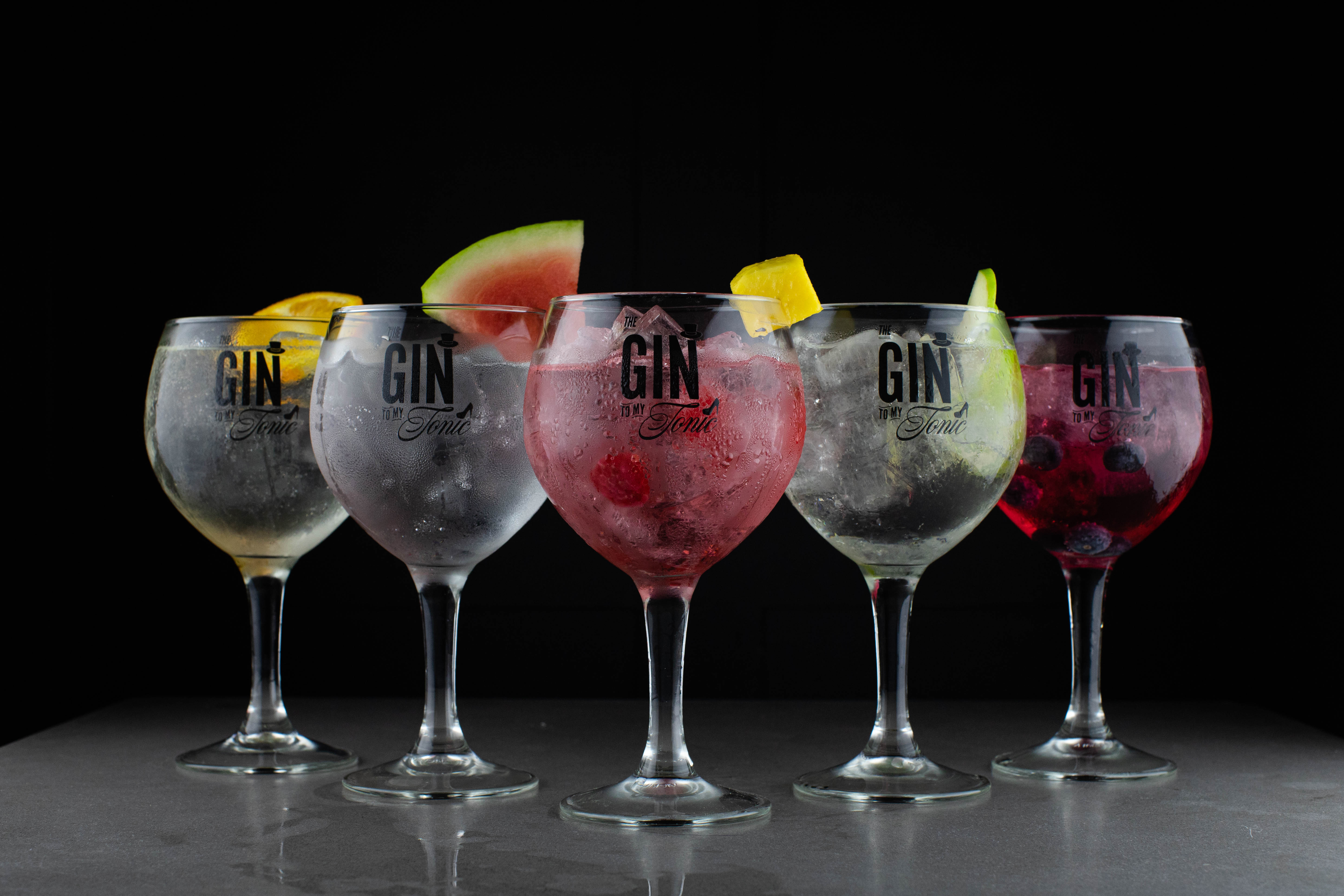 The Gin To My Tonic Festival - Hull