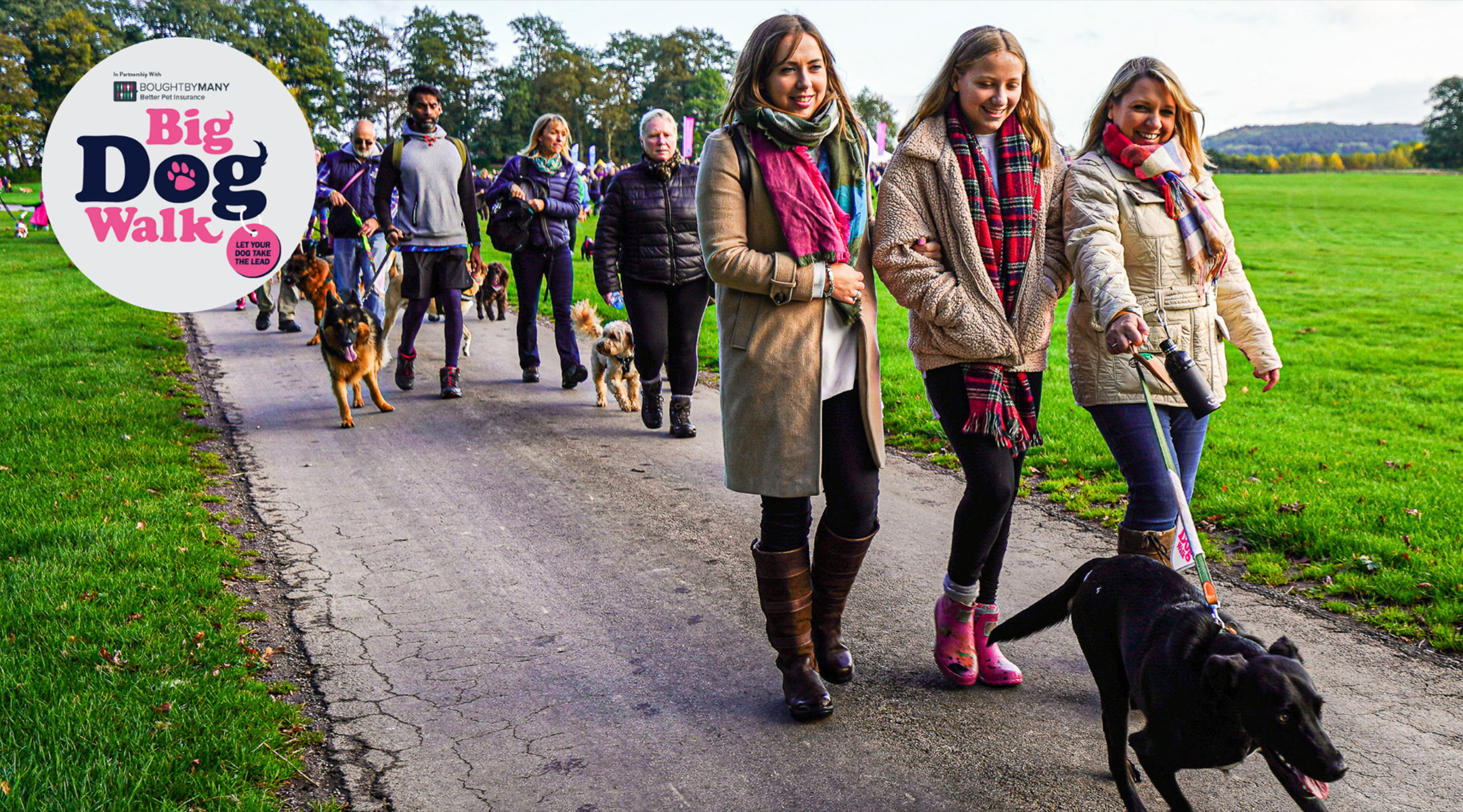 Big Dog Walk Essex